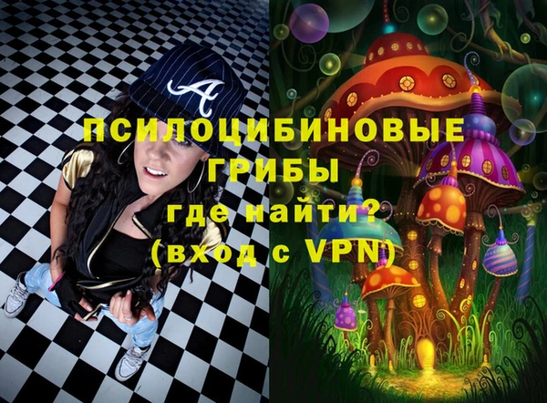 ПСИЛОЦИБИНОВЫЕ ГРИБЫ Вязники