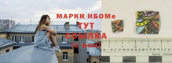 прущий лед Горняк