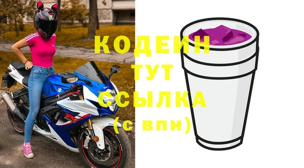 прущий лед Горняк