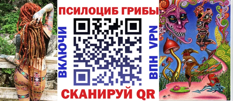Псилоцибиновые грибы Psilocybe  Яровое 